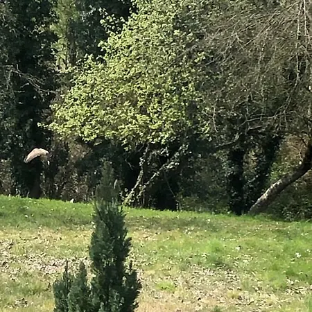 Relais D’arbigny Frühstückspension